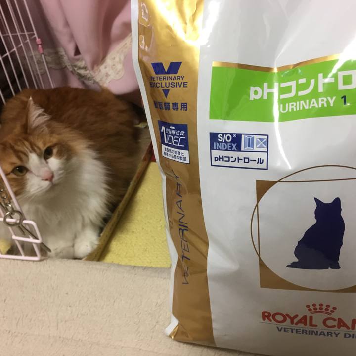 793cdb89 5820 4bf4 8660 cac2eaff4f07