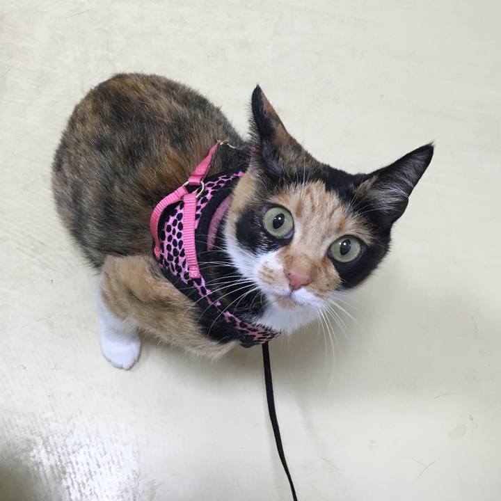 793d56ee 021f 49e8 8c47 85a632406ae5