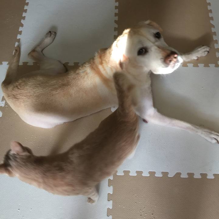 793db64b 64c6 4925 ae05 ffaa6d60732b