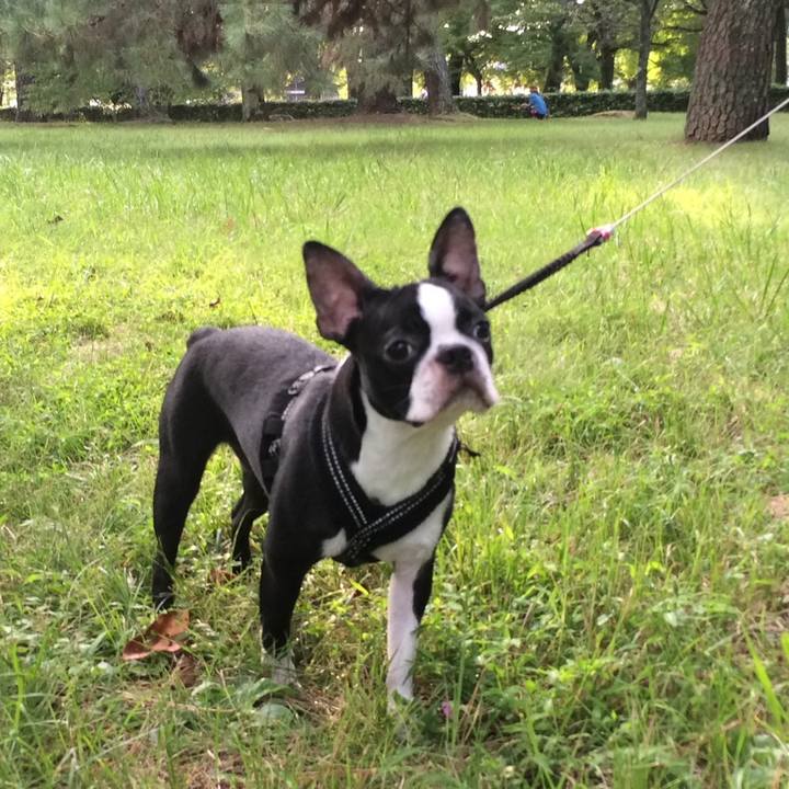 793dce88 9605 4d41 a79a b7089ba694d8