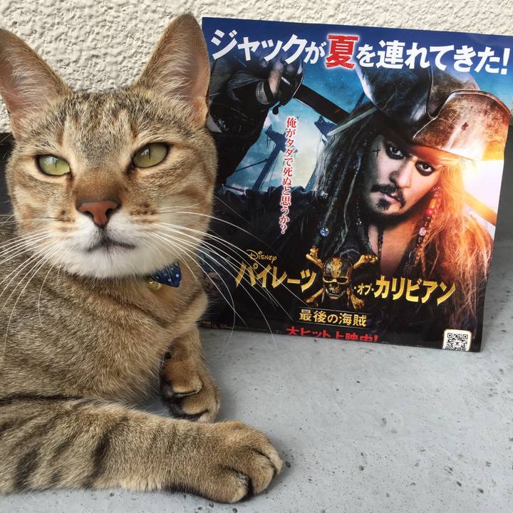 793ea969 3432 4381 9abc 0c6f3ad5249f