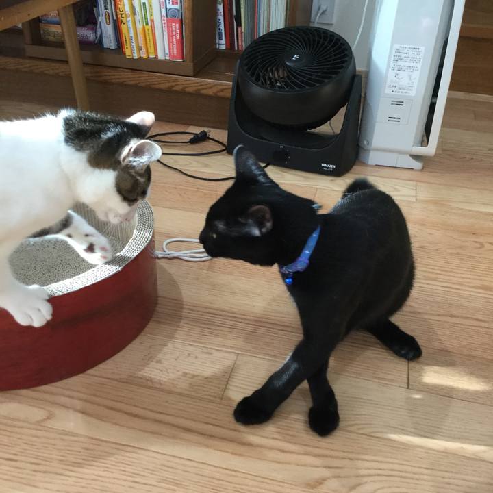 793fe544 04ea 4ed3 ac4f 3e15ecec468c