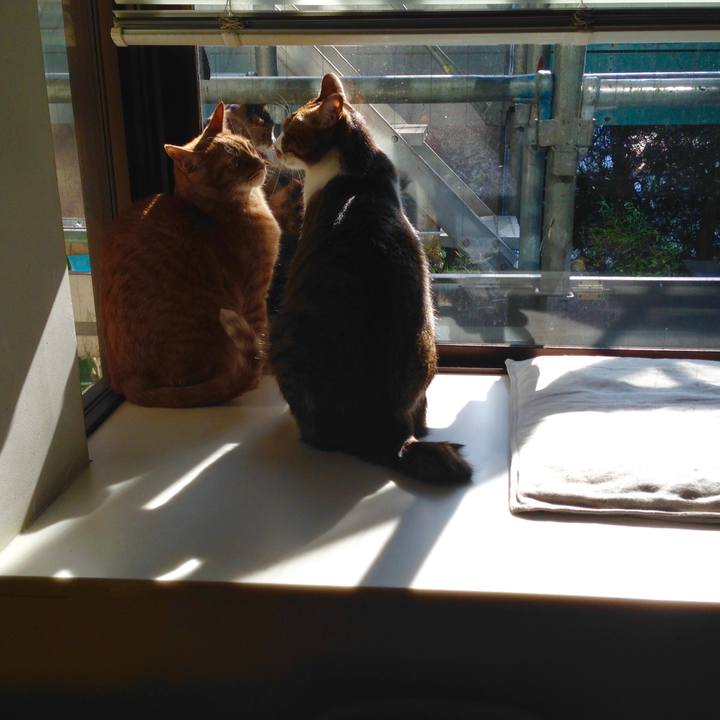 79401e75 b362 4984 a862 0b806f0244b1