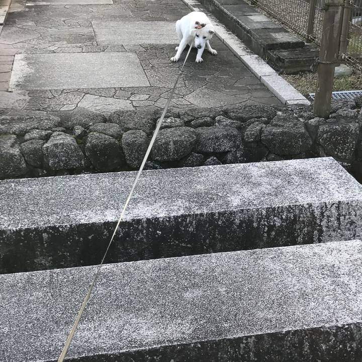 79404a25 c1e7 4f16 8290 5702fc6a3f71