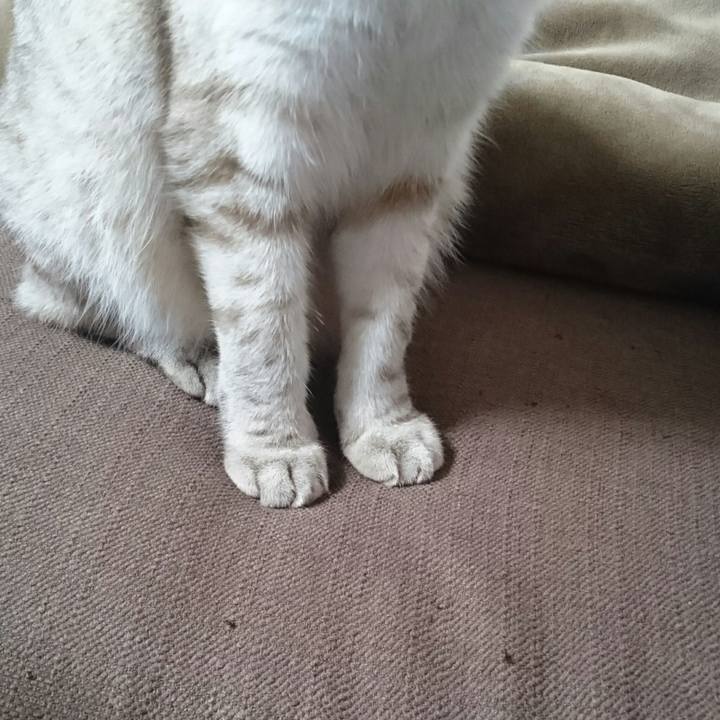 79421790 0acf 4f2b a4b0 81abfd47b056