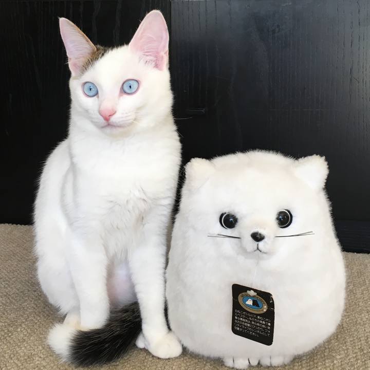 79421d5f 7ccd 4cdc 8ae2 b8d61366bf60