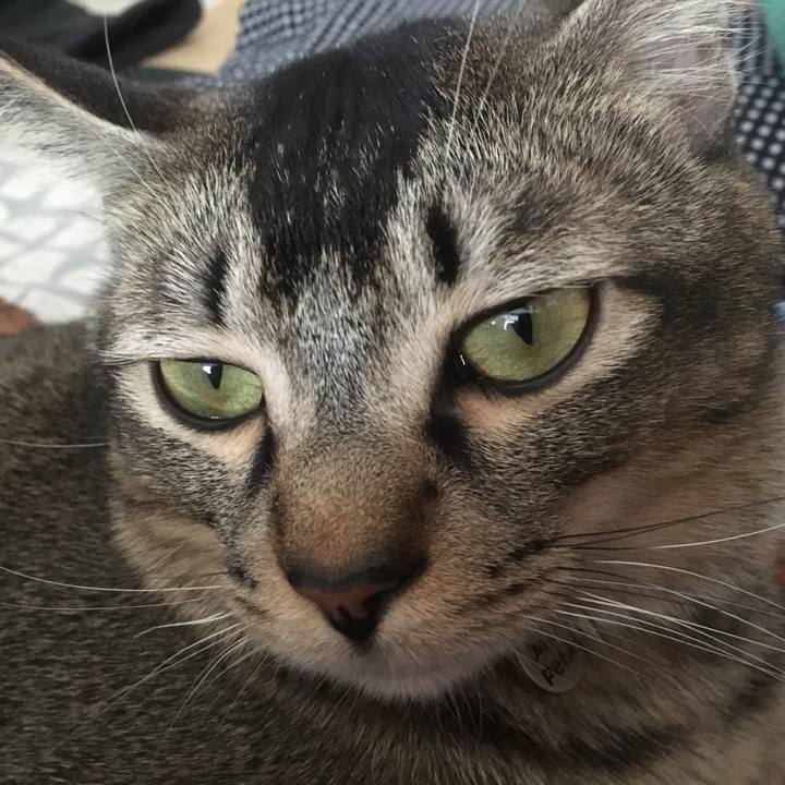 79426f77 9310 4451 98ab 21dc5838a829