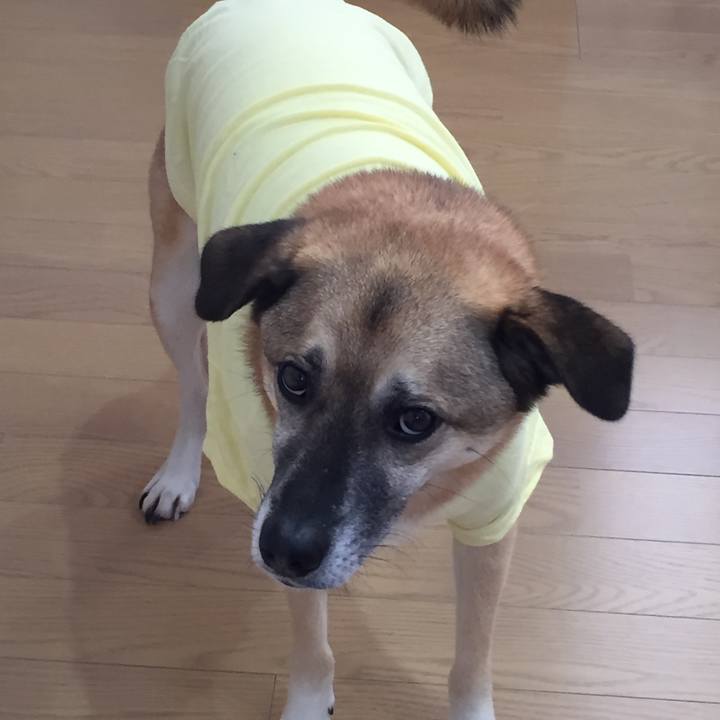 79427e63 451c 4d95 a353 2b387dc0dd2a