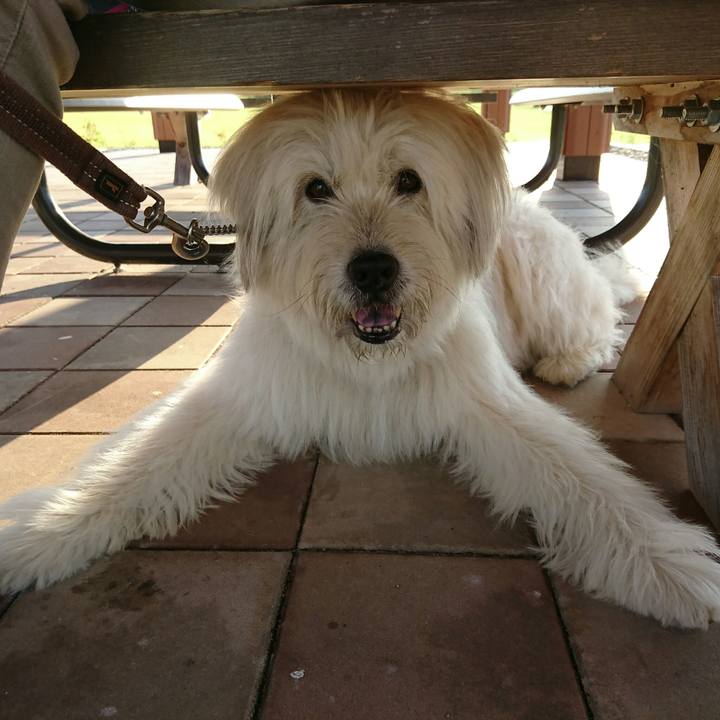 794331d2 ba38 4345 8020 6c0a27d66a9d