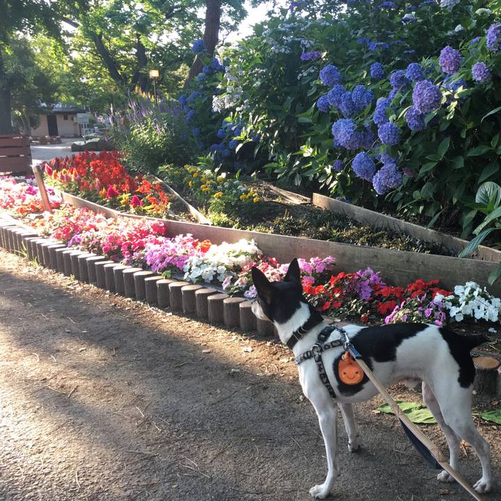 79435118 8e11 4cd8 b48b ce2f998193eb