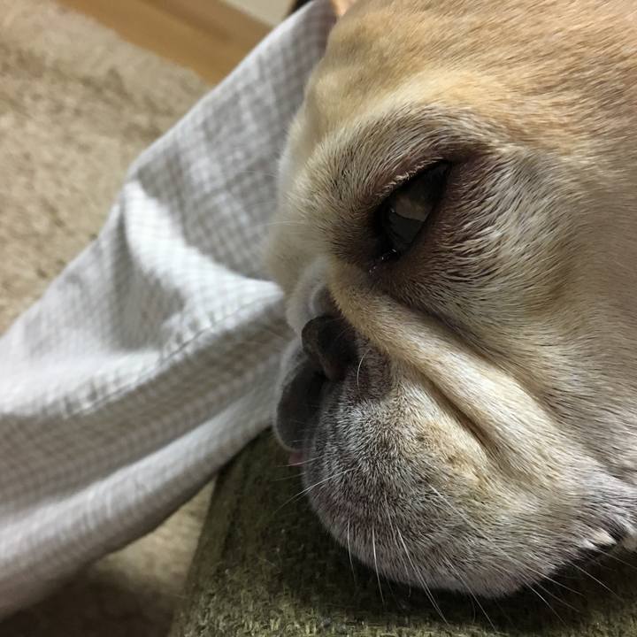 79436526 c29c 4a2e 9461 19e396d9671a