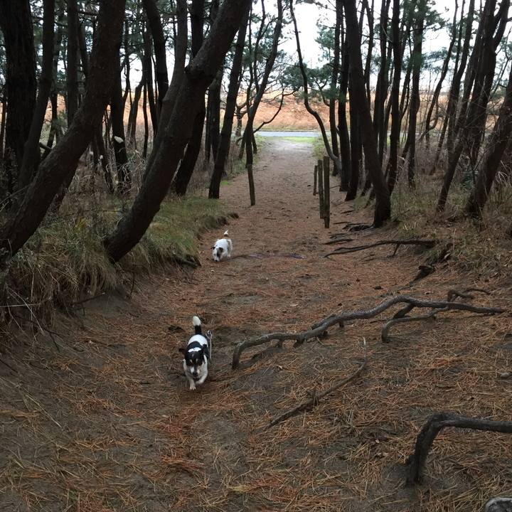 7943c9b6 93c8 445c 81e5 c5eb88bc2fcf