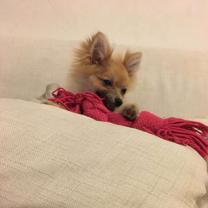 7944246c 1306 4e40 8ff6 fd43f54f66e6