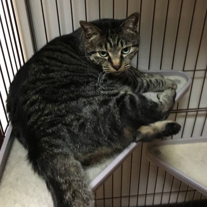 79454118 cd9d 487d 9793 cefb54e4ab32