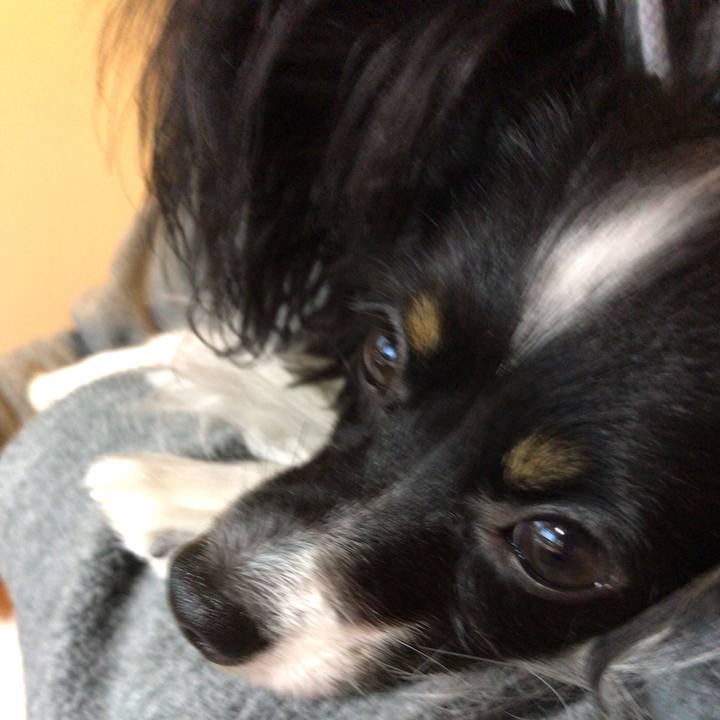 79454d44 fa1a 481a b491 c6079f504457