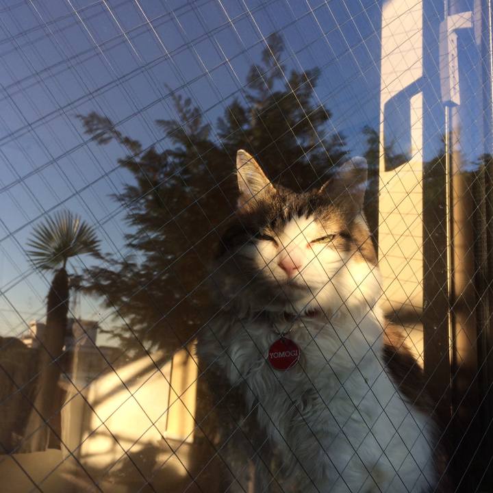 794587c5 077a 4abe a9c9 5fd1489de988