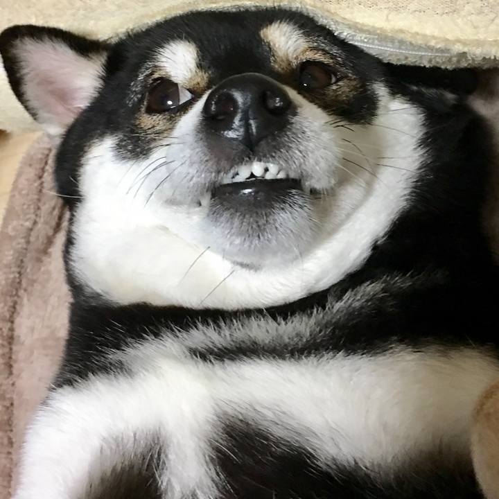 794599f6 fc93 4ce5 ae1d 227bd7c89d1b