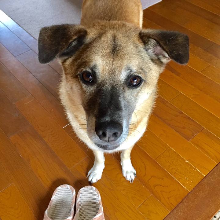 7945cc19 9bdf 462e bab7 cd1b6b93d2b2