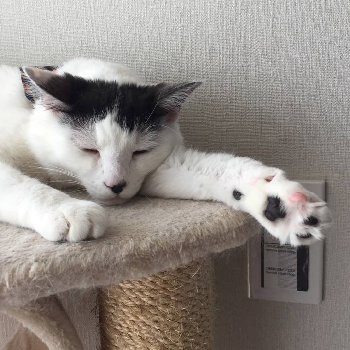 794605b1 6ee1 46c1 8142 10bc457ab979