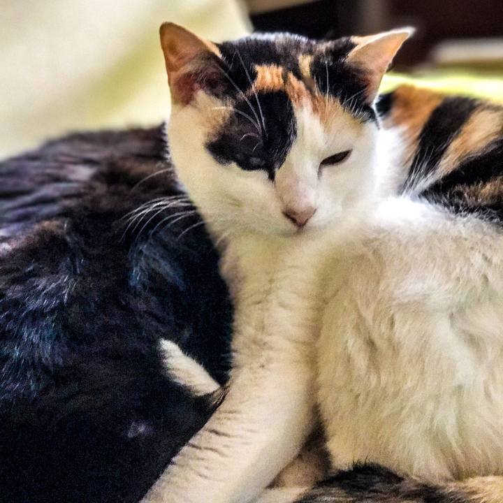 794612ac 3517 4b63 8352 53f6b071713e