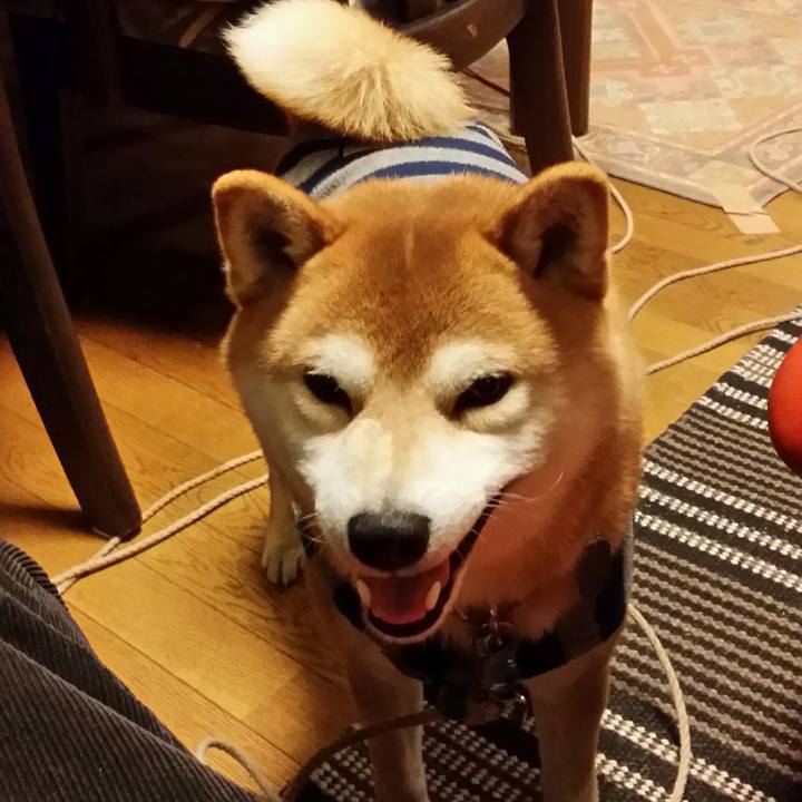 79462cd7 6a52 488d bc56 bf2c37fae13c