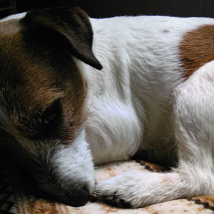 79470725 d395 473a a037 4d4bfd31f0dd