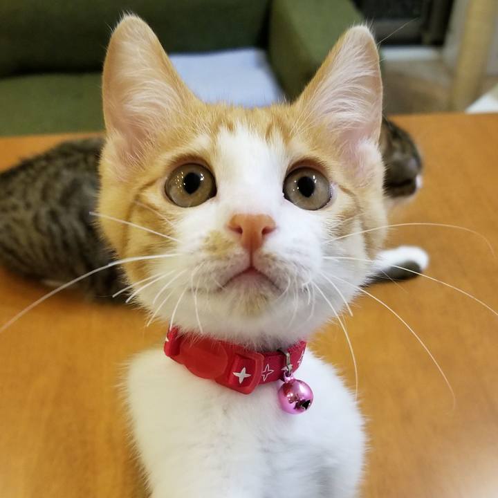 79471cac 4c10 477e 9e58 cf2332dbeafd