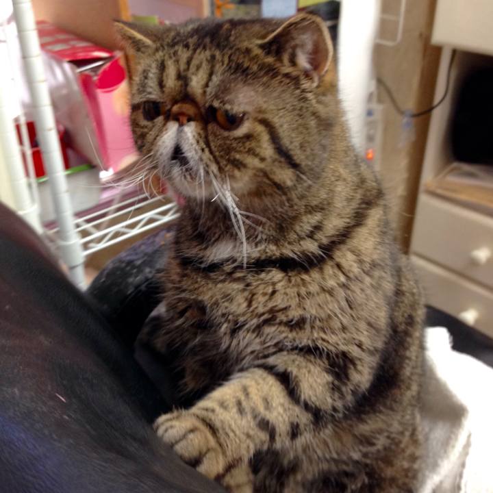 79475c77 d76e 4023 b316 7ca3bc95b23b