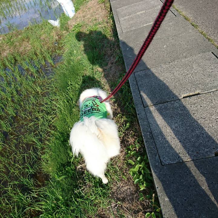 7947b260 377c 40f8 8216 1d833916674e