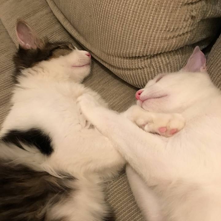 7947f89b 6070 47e2 a353 795287e931f2