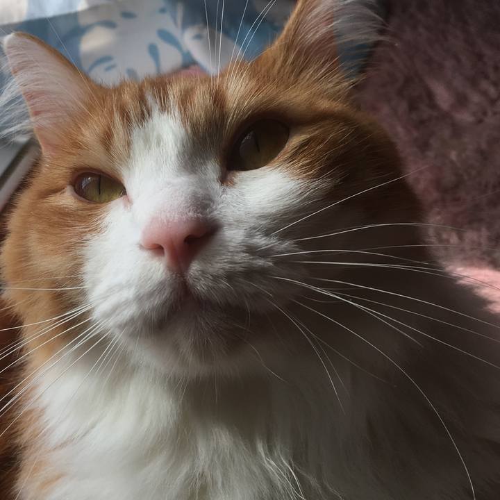 794830c0 d8f5 43c0 9dd2 0c8cb17a6ab3