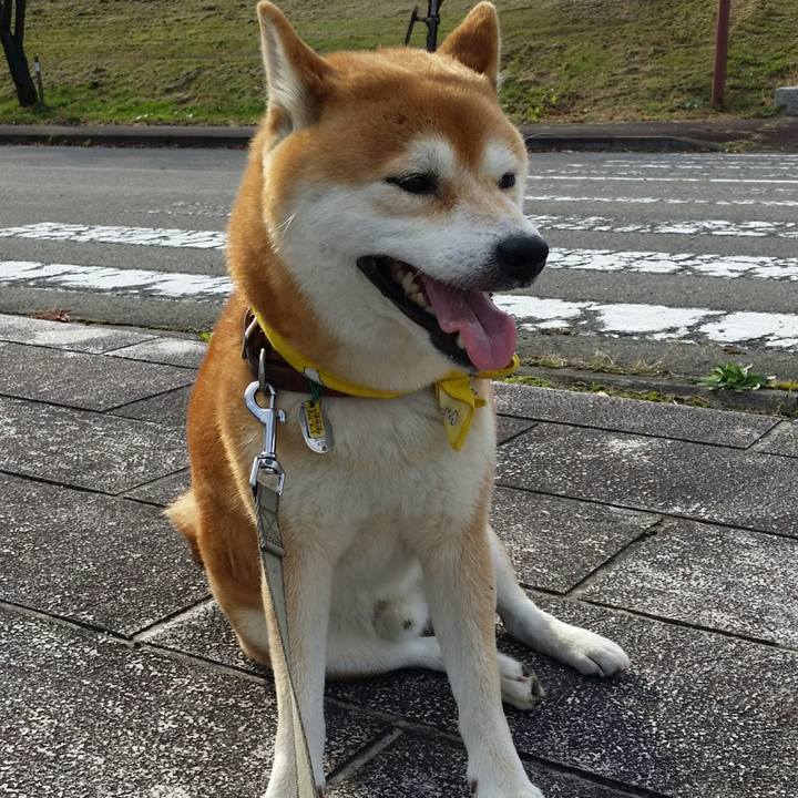 79485dcb d1ac 4d91 8395 6b273244a33b