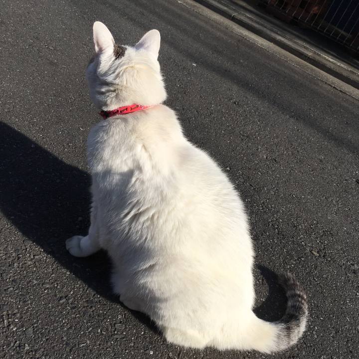 79487a73 c155 4690 9a76 8e39a7ae5c29