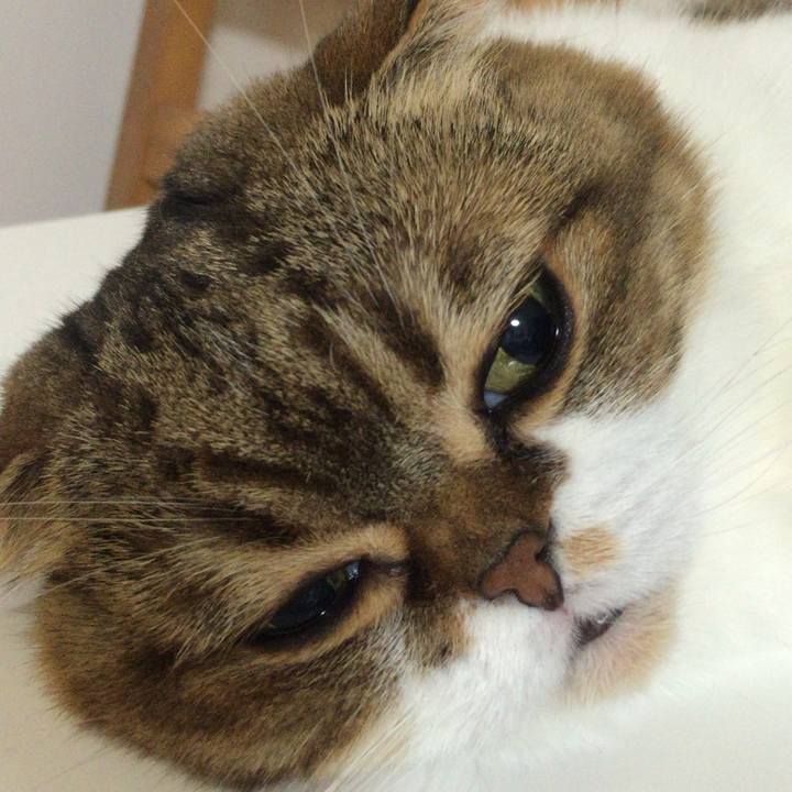 7948b0bf 313c 4673 a747 3ff8c924bd82