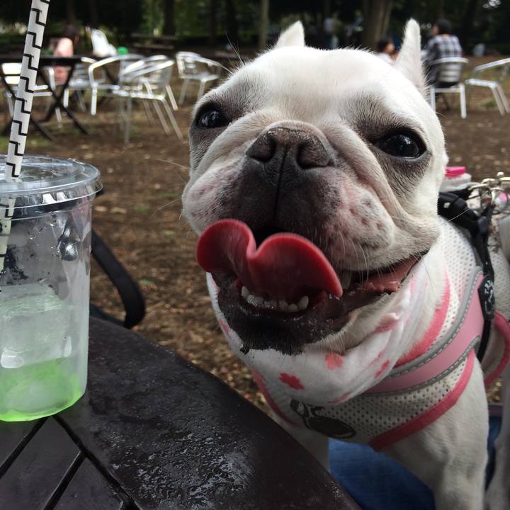 7949af78 e1c3 4799 8301 331e1079101d