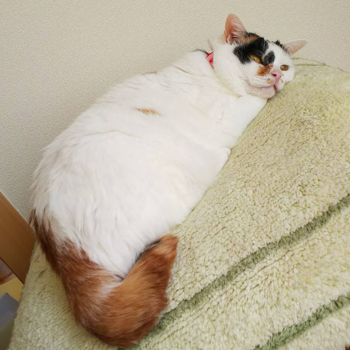 7949e271 349e 41f6 98c6 ecebe457cfee