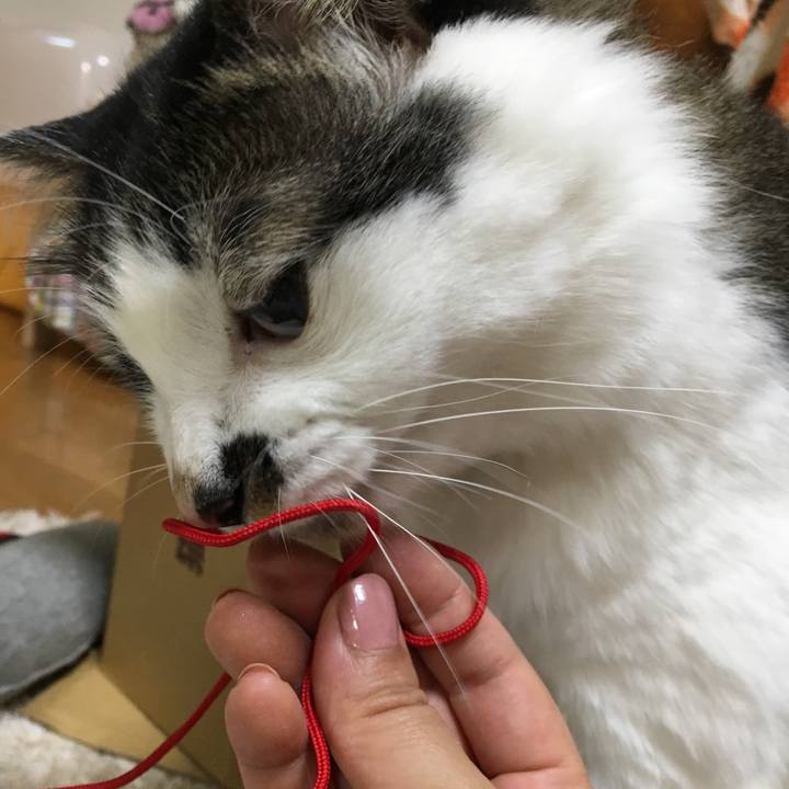 7949f4bf 3d0d 4168 ab07 ba44764c37e5