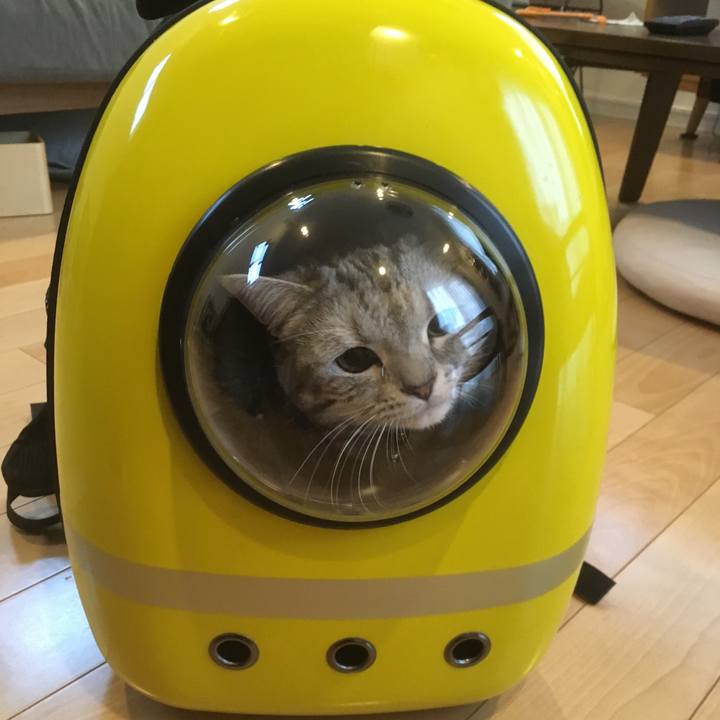 794a170d 4235 41e7 b338 a8d5889181be