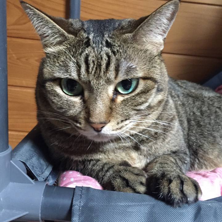 794aa8cb b118 4b28 bce1 9523241f1e59