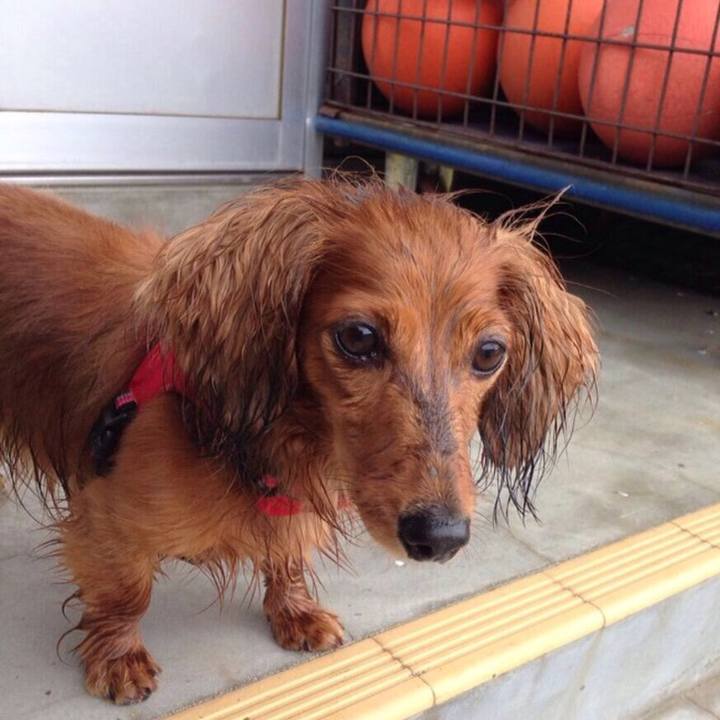 794b8188 4bad 4d5e ac64 cb8fd5addf86