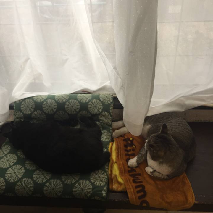 794c4cd3 92ee 4bfe 993d 403bf693cbf3