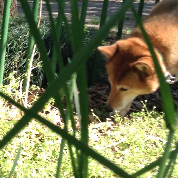 794c7d2d 2cc2 40ae 9dae 8dde8fa6b10b