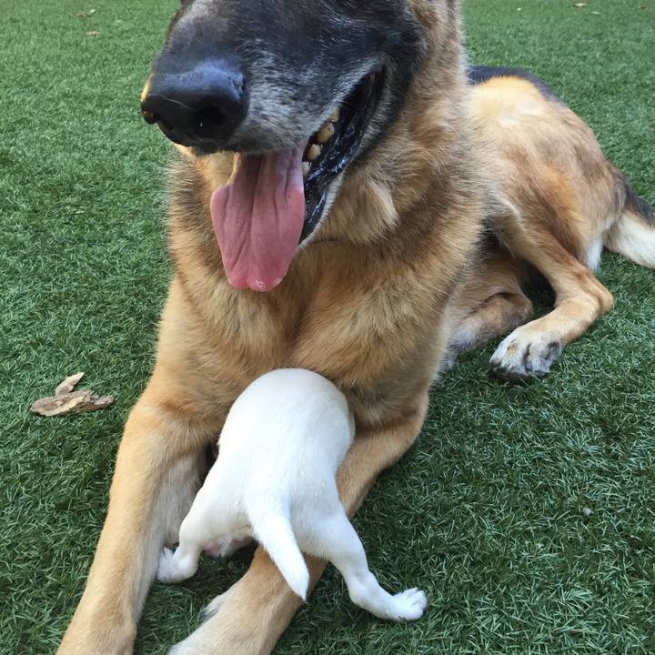 794ca106 bf55 4d6a 8c5c 53111dfa4519