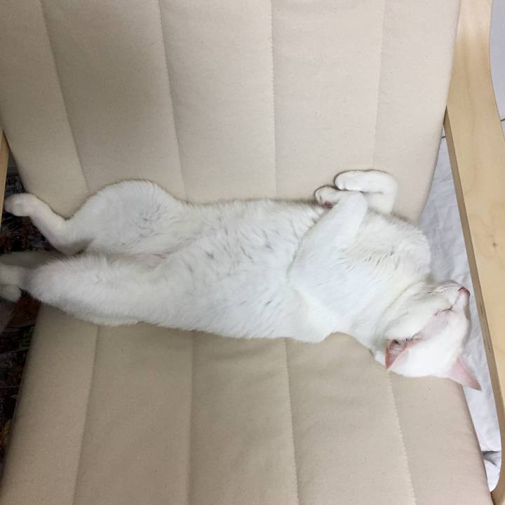 794ccb3d 957b 44ff 8f0c 8f04fb39592c