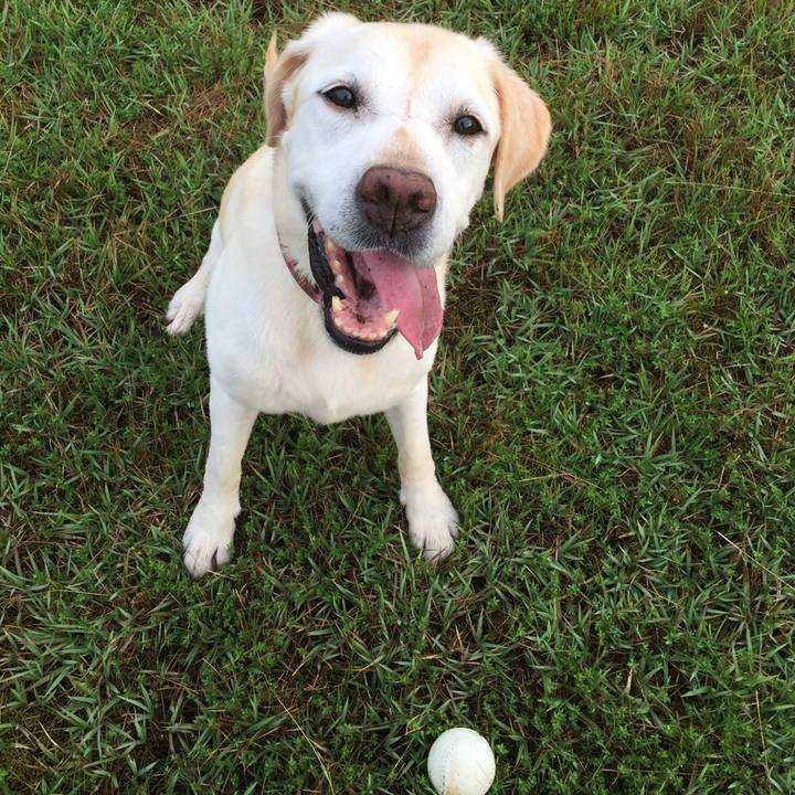 794d7736 11d6 4165 8041 971430ff8109