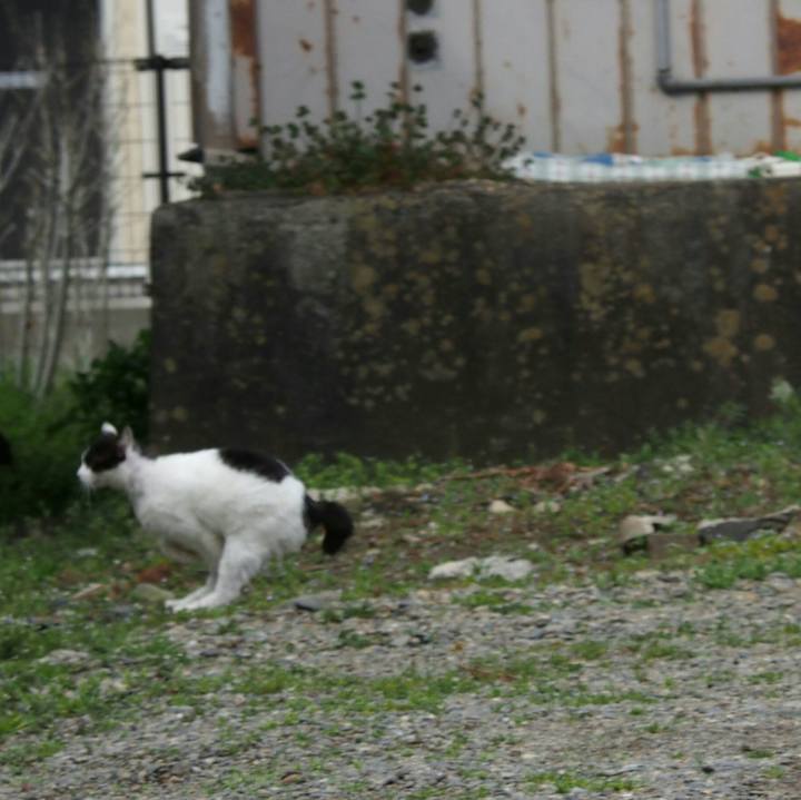 794ebafa 7030 4ccb 891b 7d6653a293c3