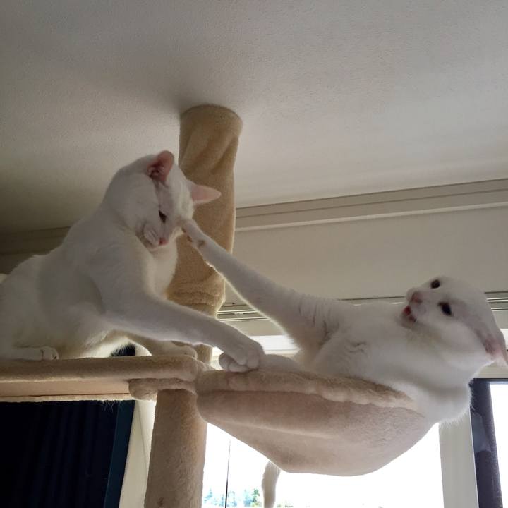 794f6979 8fa7 4bdb a7b3 07d61c82320c