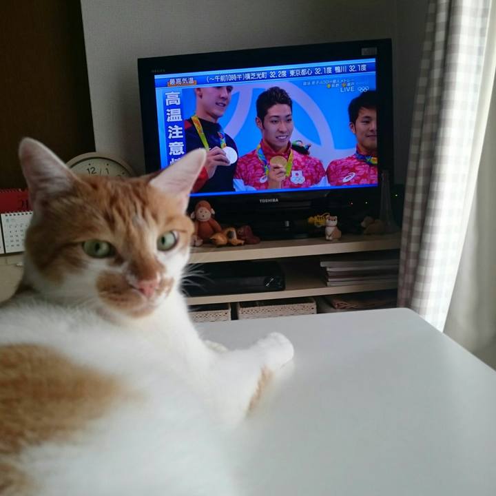 794fccf2 57a2 4835 bede def59c31ad9f