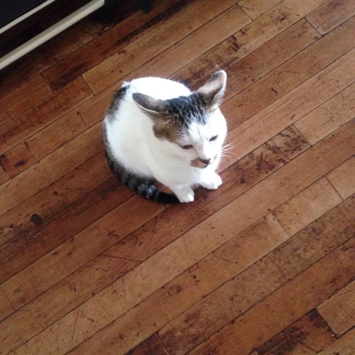 79500029 b7f9 44ac 99d1 fe015263df17