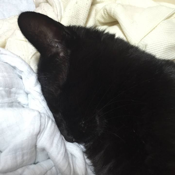 79501b47 f2f2 4b23 aa78 621ff55bc8dc